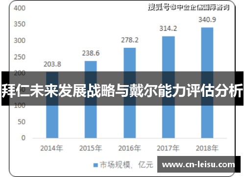 拜仁未来发展战略与戴尔能力评估分析