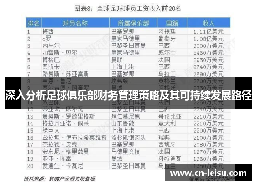 深入分析足球俱乐部财务管理策略及其可持续发展路径