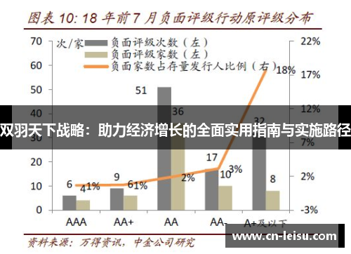 双羽天下战略：助力经济增长的全面实用指南与实施路径