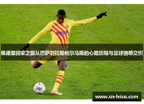 佩德里回家之旅从巴萨到拉斯帕尔马斯的心路历程与足球情感交织