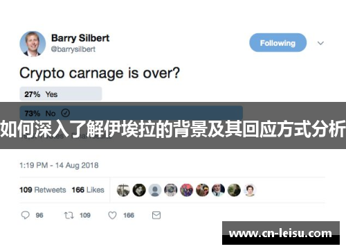 如何深入了解伊埃拉的背景及其回应方式分析