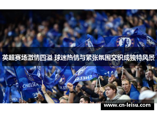 英超赛场激情四溢 球迷热情与紧张氛围交织成独特风景