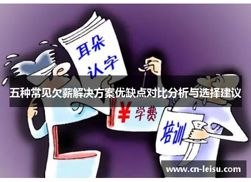 五种常见欠薪解决方案优缺点对比分析与选择建议