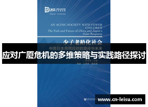 应对广厦危机的多维策略与实践路径探讨