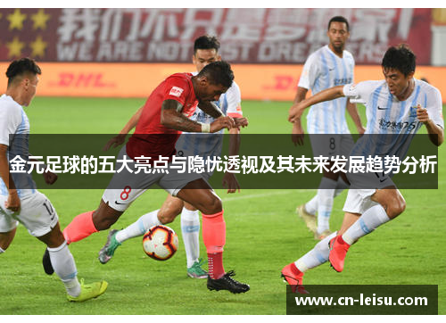 金元足球的五大亮点与隐忧透视及其未来发展趋势分析