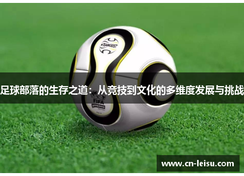 足球部落的生存之道：从竞技到文化的多维度发展与挑战