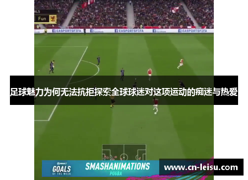 足球魅力为何无法抗拒探索全球球迷对这项运动的痴迷与热爱